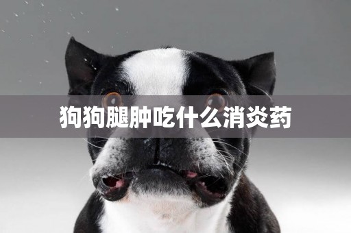 狗狗腿腫吃什么消炎藥
