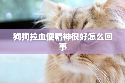 狗狗拉血便精神很好怎么回事