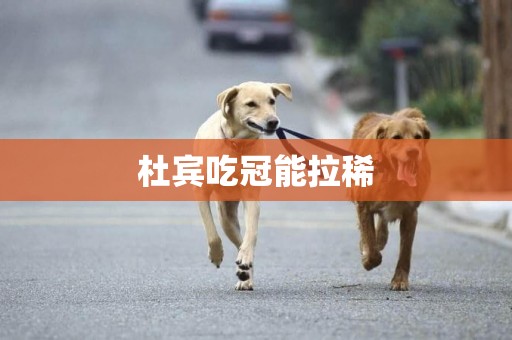 杜賓吃冠能拉稀