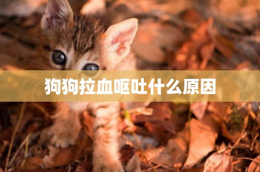 狗狗拉血嘔吐什么原因