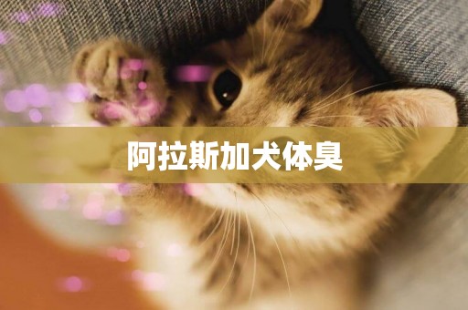 阿拉斯加犬體臭