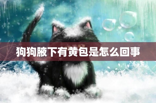 狗狗腋下有黃包是怎么回事