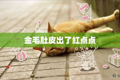 金毛肚皮出了紅點點