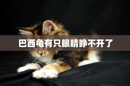 巴西龜有只眼睛睜不開了