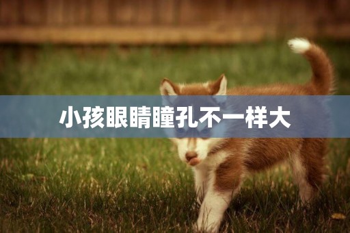 小孩眼睛瞳孔不一樣大