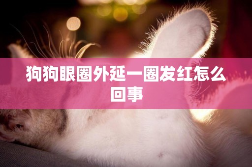 狗狗眼圈外延一圈發紅怎么回事
