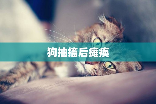 狗抽搐后癱瘓