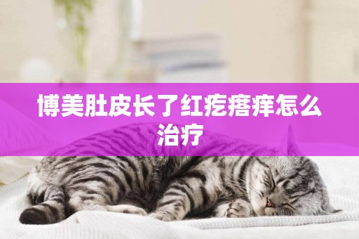 博美肚皮長了紅疙瘩癢怎么治療