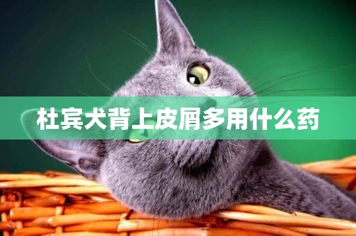杜賓犬背上皮屑多用什么藥