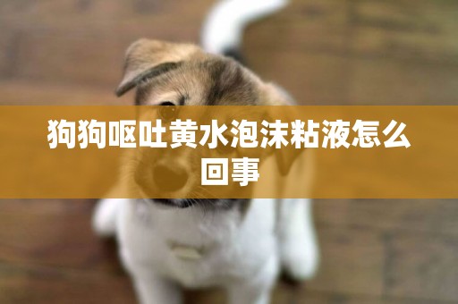 狗狗嘔吐黃水泡沫粘液怎么回事