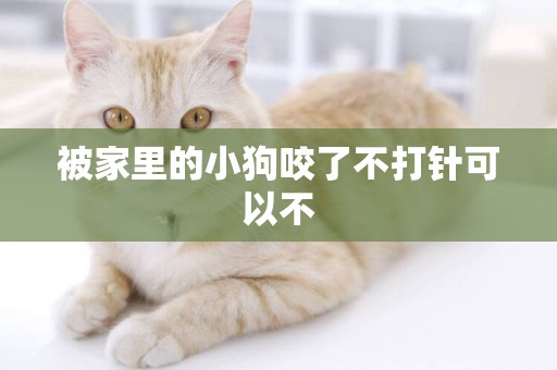 被家里的小狗咬了不打針可以不