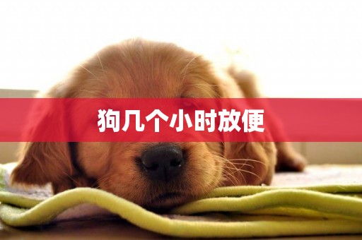 狗幾個小時放便