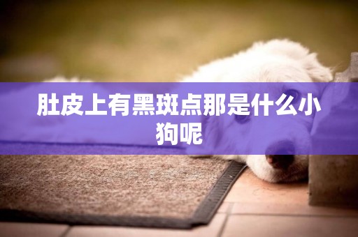 肚皮上有黑斑點那是什么小狗呢
