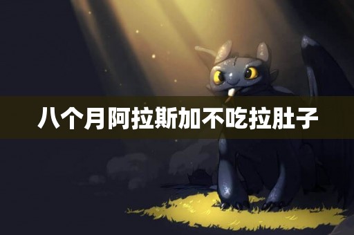 八個月阿拉斯加不吃拉肚子
