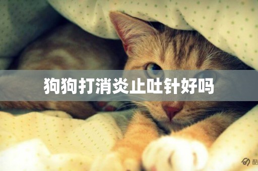 狗狗打消炎止吐針好嗎