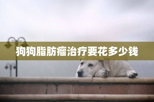 狗狗脂肪瘤治療要花多少錢
