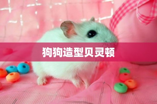 狗狗造型貝靈頓