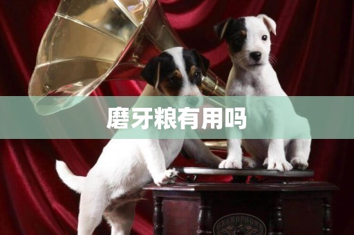 磨牙糧有用嗎