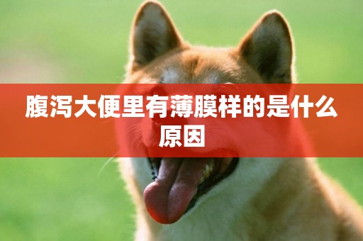 腹瀉大便里有薄膜樣的是什么原因