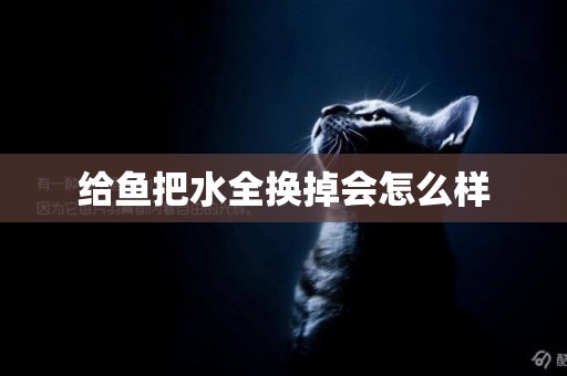 給魚把水全換掉會怎么樣