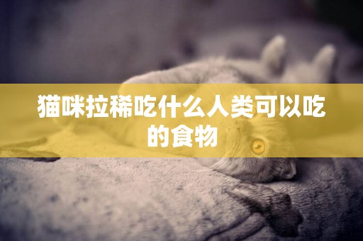 貓咪拉稀吃什么人類可以吃的食物