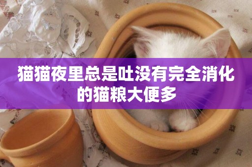 貓貓夜里總是吐沒有完全消化的貓糧大便多