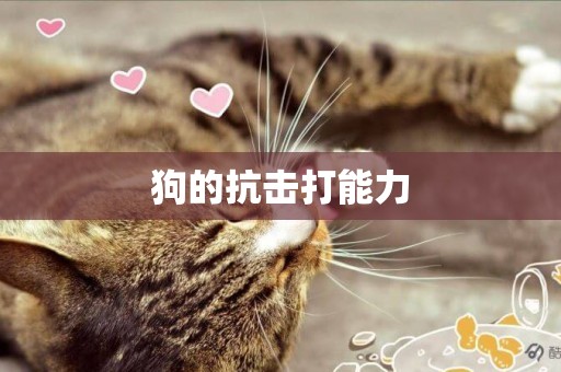 狗的抗擊打能力