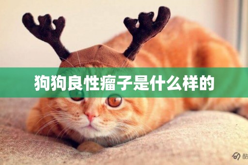 狗狗良性瘤子是什么樣的