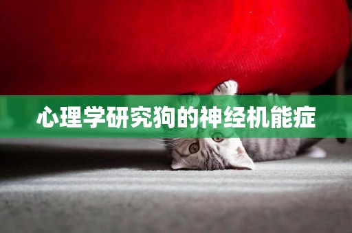 心理學研究狗的神經機能癥