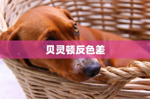 貝靈頓反色差