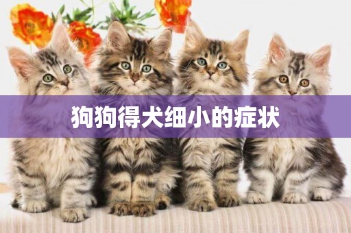 狗狗得犬細小的癥狀