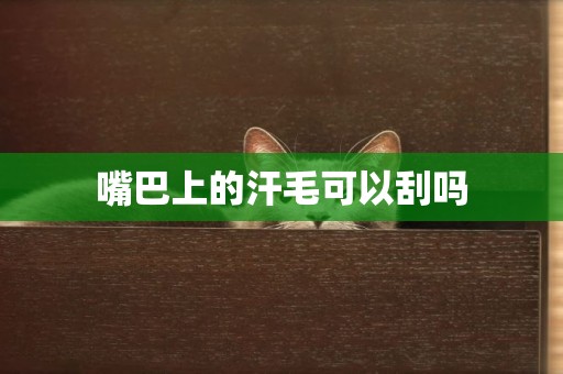 嘴巴上的汗毛可以刮嗎