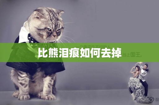 比熊淚痕如何去掉