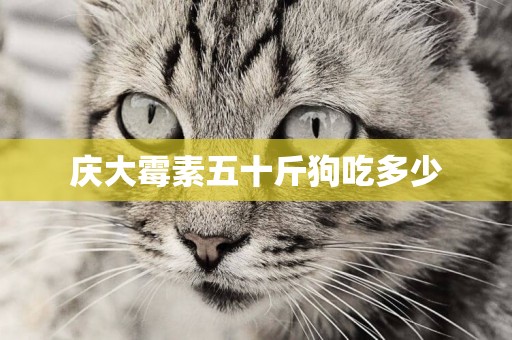 慶大霉素五十斤狗吃多少