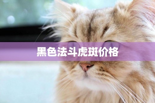 黑色法斗虎斑價格
