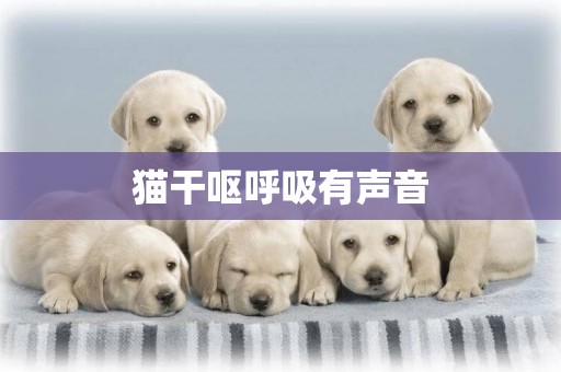 貓干嘔呼吸有聲音
