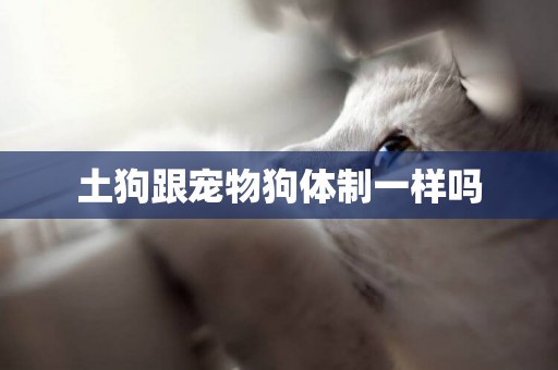 土狗跟寵物狗體制一樣嗎