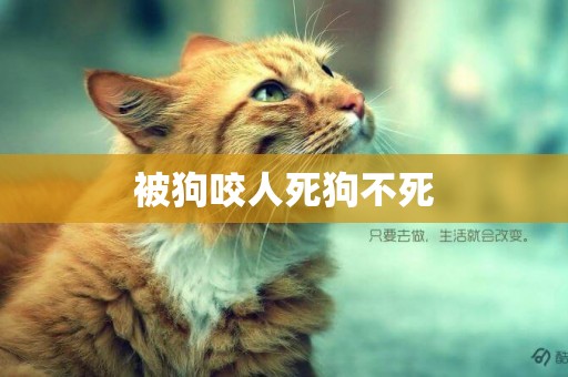 被狗咬人死狗不死