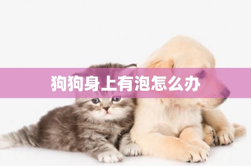 狗狗身上有泡怎么辦