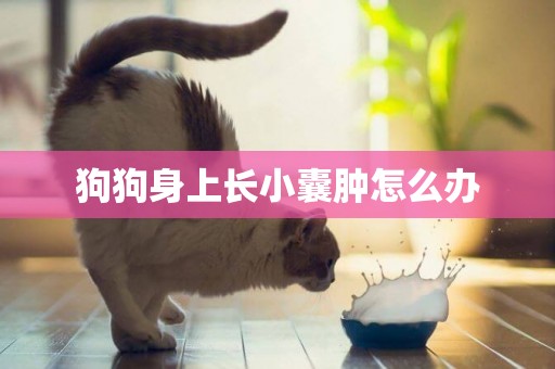 狗狗身上長小囊腫怎么辦