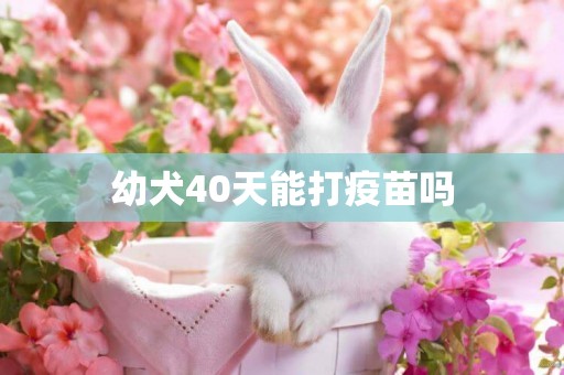 幼犬40天能打疫苗嗎