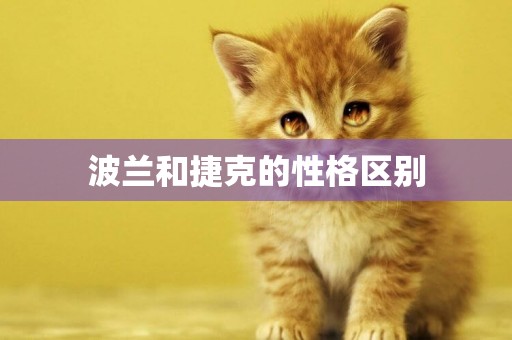 波蘭和捷克的性格區別