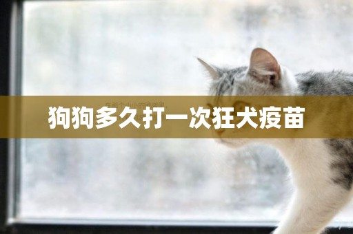 狗狗多久打一次狂犬疫苗