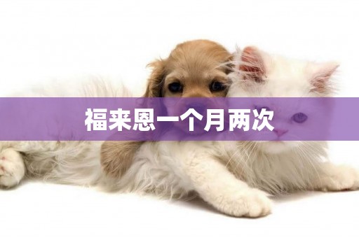 福來恩一個月兩次