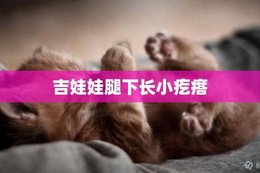 吉娃娃腿下長小疙瘩