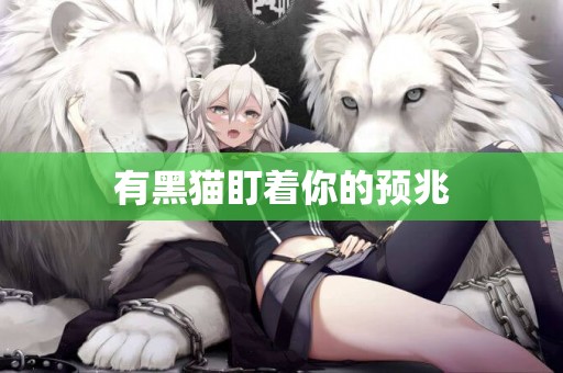 有黑貓盯著你的預兆