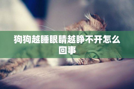 狗狗越睡眼睛越睜不開怎么回事