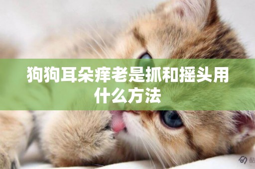 狗狗耳朵癢老是抓和搖頭用什么方法