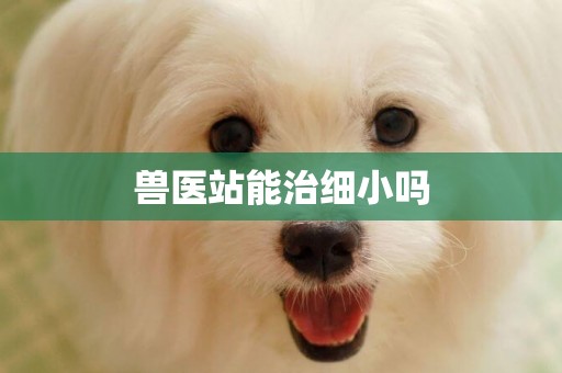 獸醫站能治細小嗎