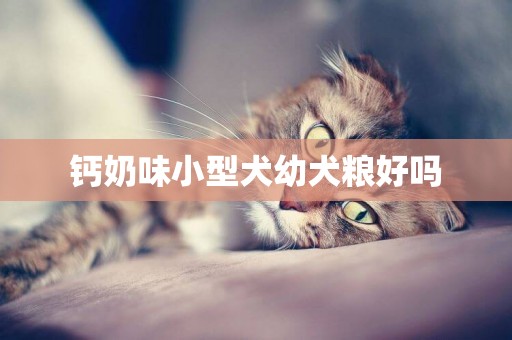 鈣奶味小型犬幼犬糧好嗎